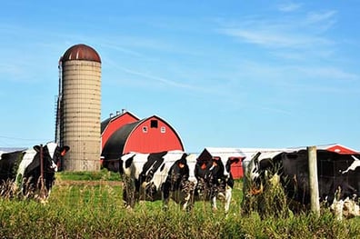 AdobeStock_97399027