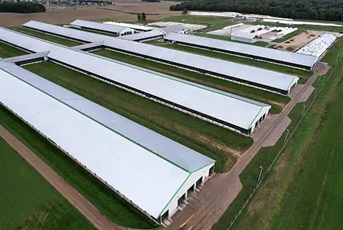 Agcurtain Agcurtain