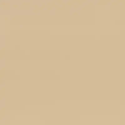 CP2700 Sand