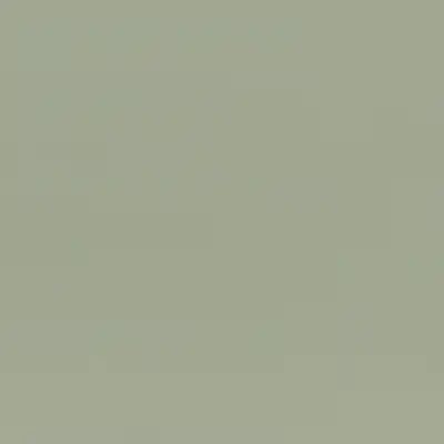 CP2717 Gull Gray