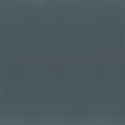 CP2718 Charcoal Gray