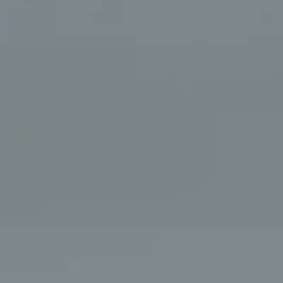 CP2719 Driftwood Gray