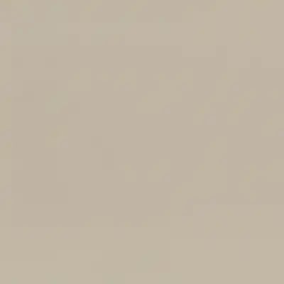 CP2738 Ebbtide Tan