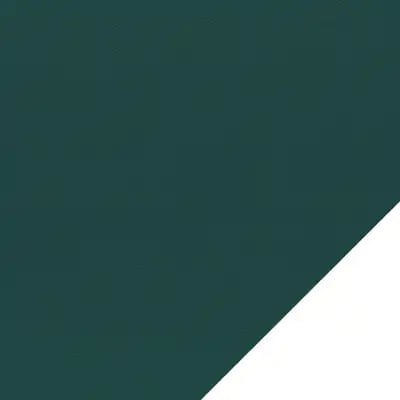 CP2751 Glade Green/White