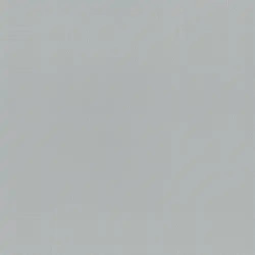 Gull_Grey