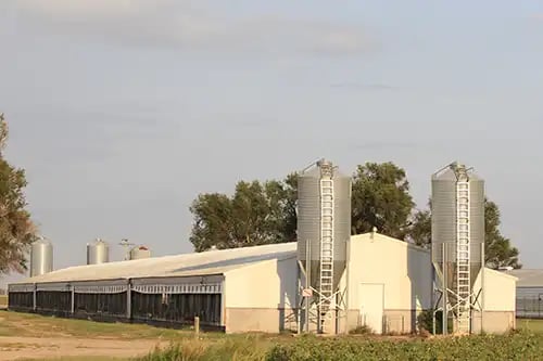 HogFarm