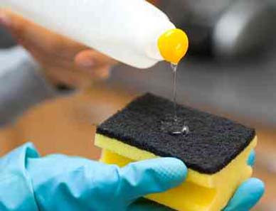 Mold_Mildew