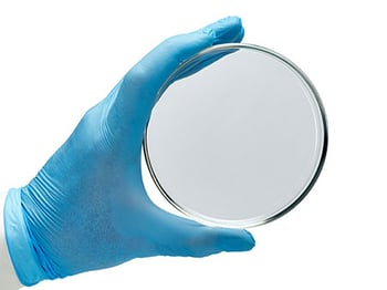 Researchers_Hands