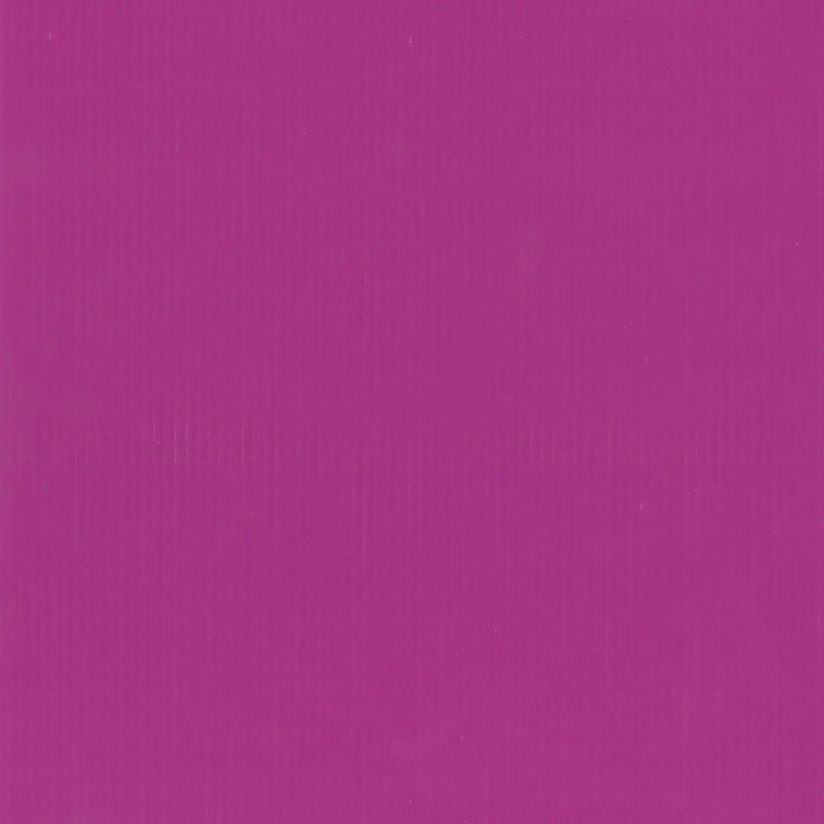 Showtime_Magenta