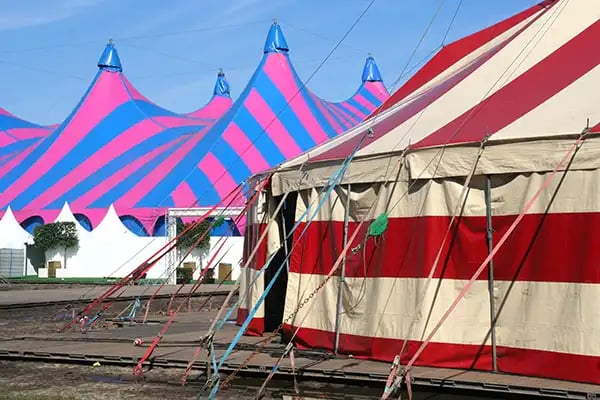 Why_Herculite_Tent