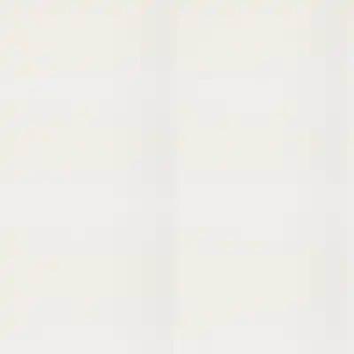 538 Parchment