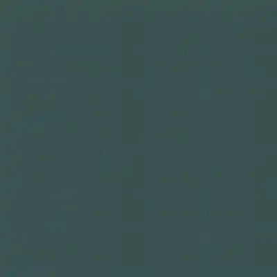 543 Spruce