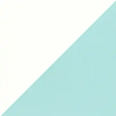 D62416 Foam Green