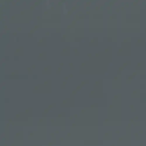 FusionIII_Gray