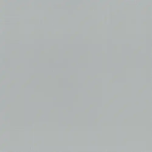 Gull_Grey