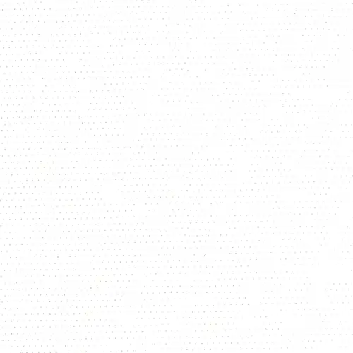 MVSWhite