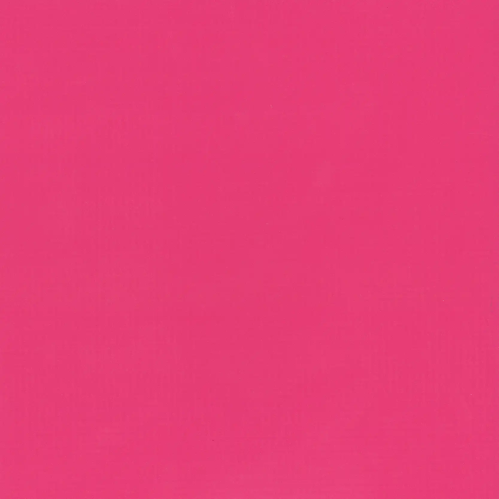 Showtime_Pink