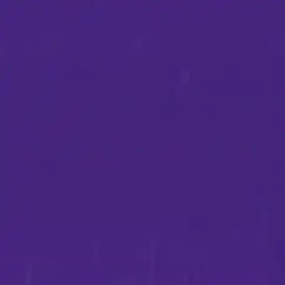 Showtime_Purple